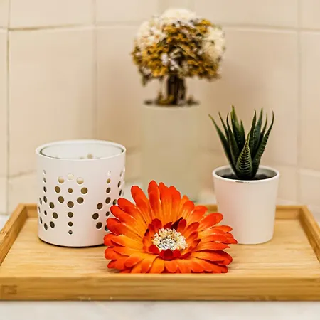 アパート Casa De Charme By Alzira アルブフェイラ